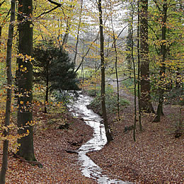 herfst