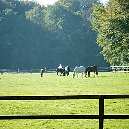 herfst