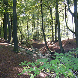 herfst