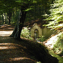 herfst