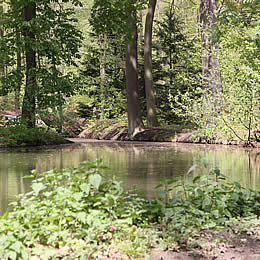 lente