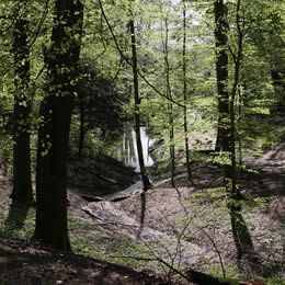 lente